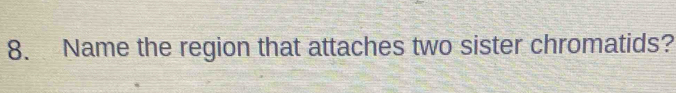 Name the region that attaches two sister chromatids?