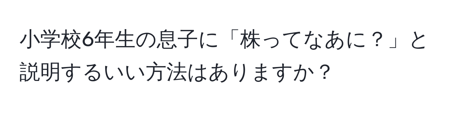 小学校6年生の息子に「株ってなあに？」と説明するいい方法はありますか？