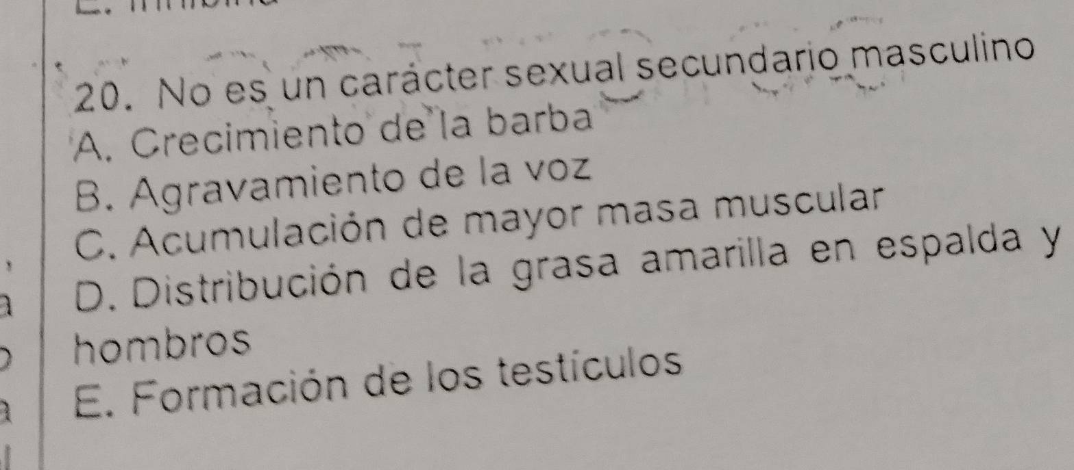 No es un carácter sexual secundario masculino
A. Crecimiento de la barba
B. Agravamiento de la voz
C. Acumulación de mayor masa muscular
D. Distribución de la grasa amarilla en espalda y
hombros
E. Formación de los testículos