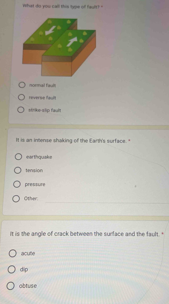 What do you call this type of fault? *
normal fault
reverse fault
strike-slip fault
It is an intense shaking of the Earth's surface. *
earthquake
tension
pressure
Other:
It is the angle of crack between the surface and the fault. *
acute
dip
obtuse