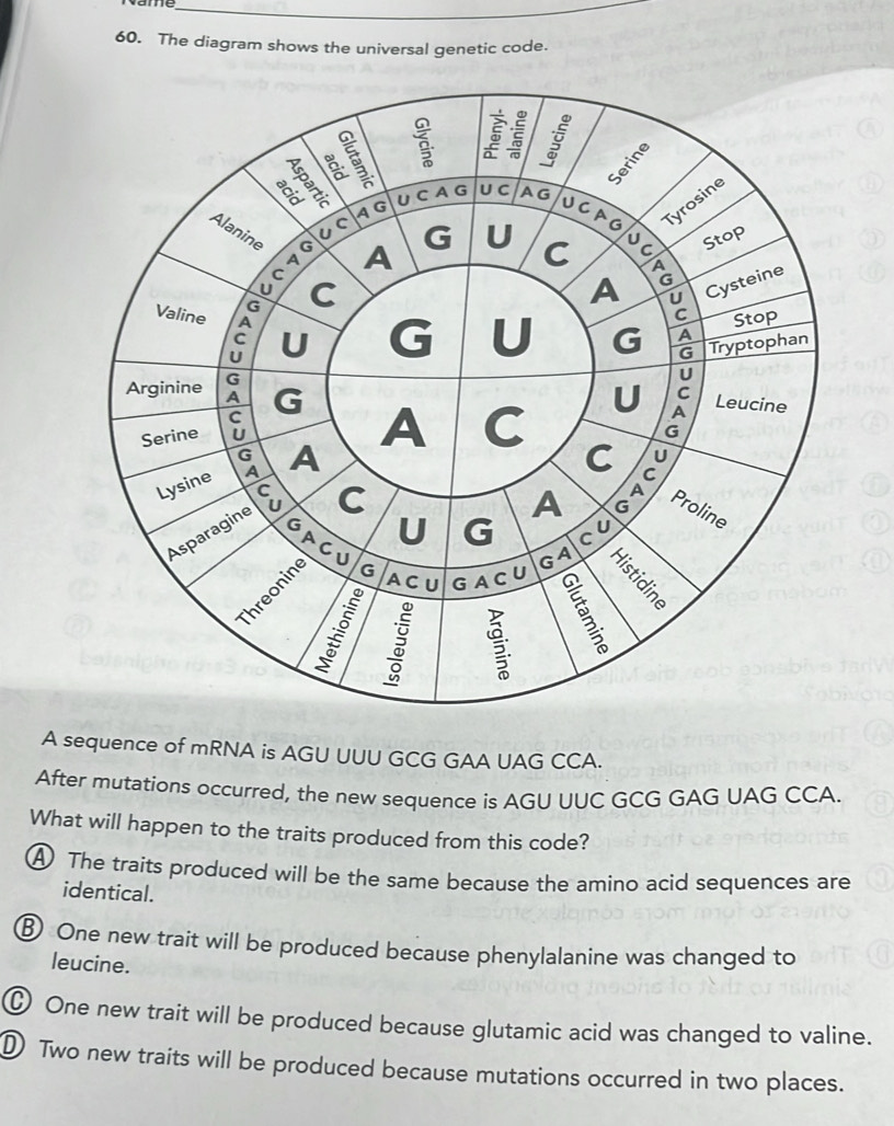Solved: The diagram shows the universal genetic code. A sequence of ...