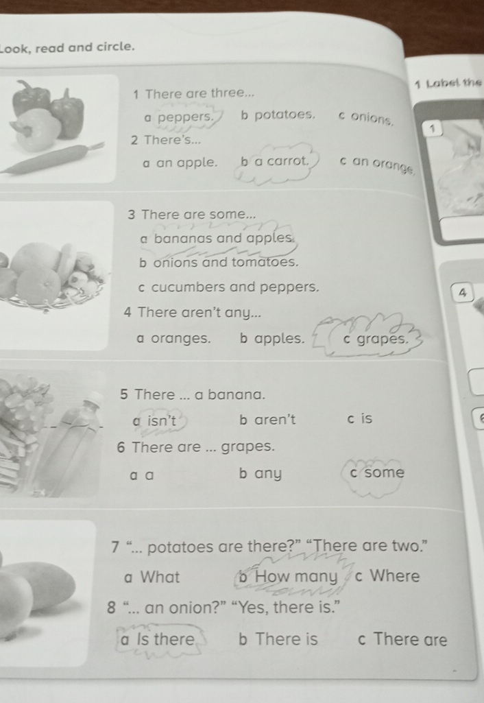 Look, read and circle.
1 There are three... 1 Label the
a peppers. b potatoes. c onions. 1
2 There's...
a an apple. b a carrot. c an orange.
3 There are some...
a bananas and apples.
b onions and tomatoes.
c cucumbers and peppers.
4
4 There aren't any...
a oranges. b apples. c grapes.
5 There ... a banana.
a isn't b aren't c is
6 There are ... grapes.
a a b any c some
7 “... potatoes are there?” “There are two.”
a What b How many c Where
8 “... an onion?” “Yes, there is.”
a Is there b There is c There are