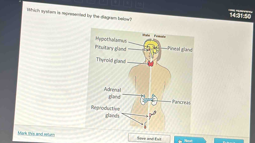 0 10 
H ME REMNING 14:31:50 
Which system is represented by the diagram below? 
Mark this and return Save and Exit Next