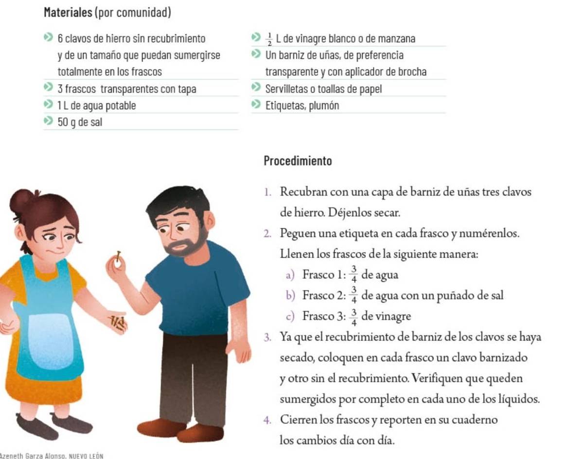 Materiales (por comunidad) 
6 clavos de hierro sin recubrimiento  1/2  L de vinagre blanco o de manzana 
y de un tamaño que puedan sumergirse Un barniz de uñas, de preferencia 
totalmente en los frascos transparente y con aplicador de brocha 
3 frascos transparentes con tapa Servilletas o toallas de papel 
1 L de agua potable Etiquetas, plumón
50 g de sal 
Procedimiento 
Recubran con una capa de barniz de uñas tres clavos 
de hierro. Déjenlos secar. 
Peguen una etiqueta en cada frasco y numérenlos. 
Llenen los frascos de la siguiente manera: 
a) Frasco 1:  3/4  de agua 
b) Frasco 2:  3/4  de agua con un puñado de sal 
c) Frasco 3:  3/4  de vinagre 
Ya que el recubrimiento de barniz de los clavos se haya 
secado, coloquen en cada frasco un clavo barnizado 
y otro sin el recubrimiento. Verifiquen que queden 
sumergidos por completo en cada uno de los líquidos. 
Cierren los frascos y reporten en su cuaderno 
los cambios día con día. 
Azeneth Garza Alonso. NuEνO ι εÓn