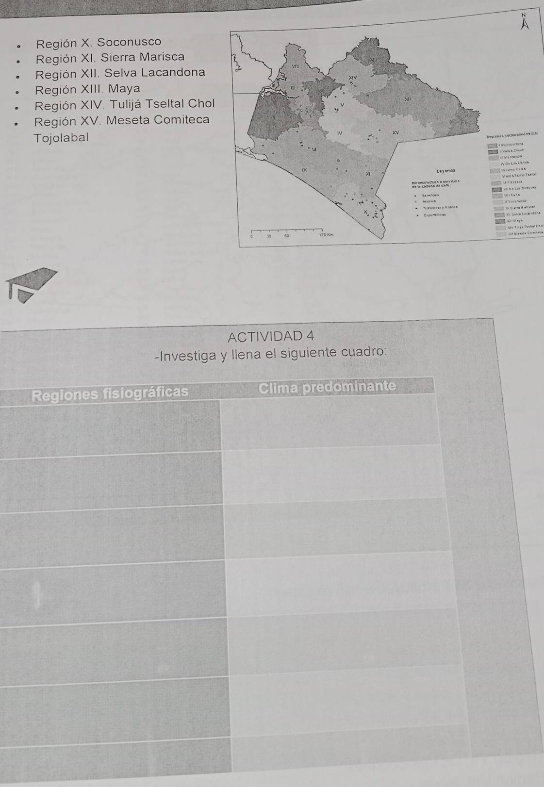 Región X. Soconusco 
Región XI. Sierra Marisca 
Región XII. Selva Lacandona 
Región XIII. Maya 
Región XIV. Tulijá Tseltal Chol 
Región XV. Meseta Comiteca 
Tojolabal 
nes socioe conó mcas 
V 
IV O a L ca L nea 
Vas Tero Tura 
ACTIVIDAD 4 
-Investiga y llena el siguiente cuadro: 
Regiones fisiográficas Clima predominante