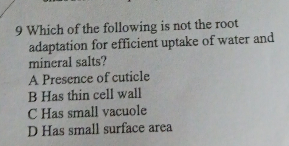 Which of the following is not the root
adaptation for efficient uptake of water and
mineral salts?
A Presence of cuticle
B Has thin cell wall
C Has small vacuole
D Has small surface area