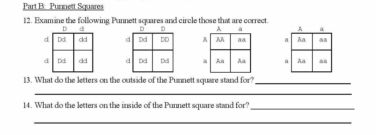 Solved: Punnett Squares 12. Examine the following Punnett squares and ...
