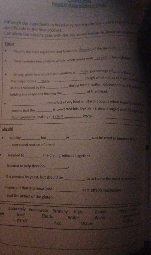 Function of Ingra dierits in 19939
Although the ingredients in bread may seem quie basic each ingr at
specific role in the final product
Complete the missing gaps with the key words below to show your gnor
Flour
Flour is the main ingredient and forms the _ es of the product
Flour contains two proteins which, when mixed with _, form gluten
Strong, plain flour is used as it contains a _percentage of_
This helps form a __dough which holds CO^2 gāit je 
as it is produced by the _during fermentation. Gluten sets as it ivon ed 
holding the shape and forming the _of the bread
_(the effect of dry heat on starch) occurs when bread is comed t
means that the _is converted into Dextrin (a simple sugar) and the san i 
flour caramelise, making the crust _brown.
Liquid
Usually_ but _or _can be used to improve the
nutritional content of bread.
Needed to _the dry ingredients together.
Needed to help develop _.
It is needed by yeast, but should be _to activate the yeast to ferment
Important that it is measured _as it effects the texture
and the action of the gluten.
Accurately Framework Stretchy High Gluten
en Bind Elastic Water Warm Delars p
starch Egg Water
Goldeo