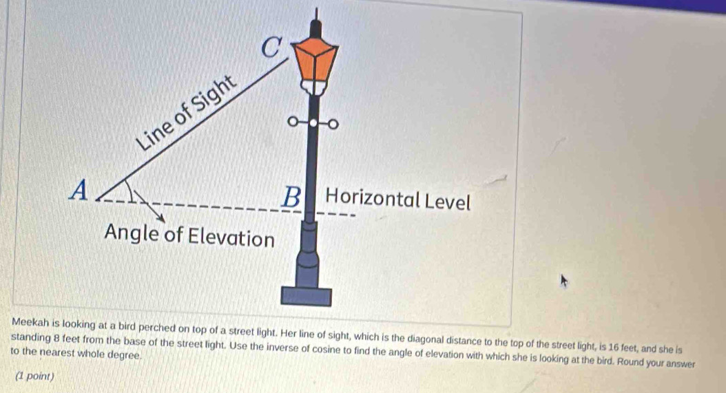 standing 8 feet from the base of the street light. Use the inverse of cosine to find the angle of elevation with which she is looking at the bird. Round your answer 
to the nearest whole degree. 
(1 point)