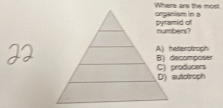 Where are the most
organism in a
numbes?
A) heterotroph
B) decomposer
C) producers
D) autotroph