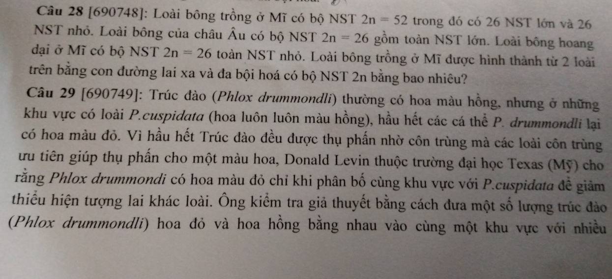 [690748]: Loài bông trồng ở Mĩ có bộ NST 2n=52 trong đó có 26 NST lớn và 26
NST nhỏ. Loài bông của châu Âu có bộ NST 2n=26 gồm toàn NST lớn. Loài bông hoang 
dại ở Mĩ có bộ NST 2n=26 toàn NST nhỏ. Loài bông trồng ở Mĩ được hình thành từ 2 loài 
trên bằng con đường lai xa và đa bội hoá có bộ NST 2n bằng bao nhiêu? 
Câu 29 [690749]: Trúc đào (Phlox drummondli) thường có hoa màu hồng, nhưng ở những 
khu vực có loài P.cuspidata (hoa luôn luôn màu hồng), hầu hết các cá thể P. drummondli lại 
có hoa màu đỏ. Vì hầu hết Trúc đào đều được thụ phần nhờ côn trùng mà các loài côn trùng 
ưu tiên giúp thụ phần cho một màu hoa, Donald Levin thuộc trường đại học Texas (Mỹ) cho 
rằng Phlox drummondi có hoa màu đỏ chỉ khi phân bố cùng khu vực với P.cuspidata đề giảm 
thiểu hiện tượng lai khác loài. Ông kiểm tra giả thuyết bằng cách đưa một số lượng trúc đào 
(Phlox drummondli) hoa đỏ và hoa hồng bằng nhau vào cùng một khu vực với nhiều