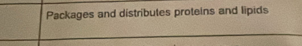 Packages and distributes proteins and lipids