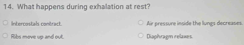 What happens during exhalation at rest?
Intercostals contract. Air pressure inside the lungs decreases.
Ribs move up and out. Diaphragm relaxes.