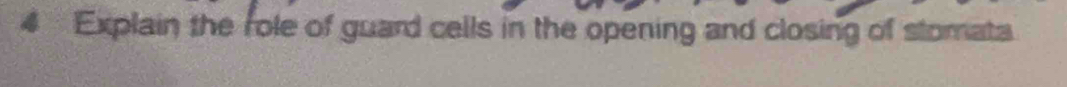 Explain the role of guard cells in the opening and closing of stomata