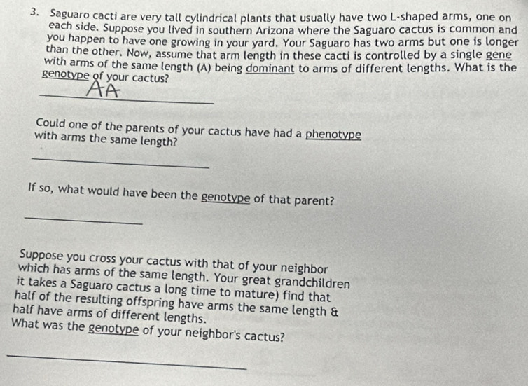 Saguaro cacti are very tall cylindrical plants that usually have two L-shaped arms, one on 
each side. Suppose you lived in southern Arizona where the Saguaro cactus is common and 
you happen to have one growing in your yard. Your Saguaro has two arms but one is longer 
than the other. Now, assume that arm length in these cacti is controlled by a single gene 
with arms of the same length (A) being dominant to arms of different lengths. What is the 
genotype of your cactus? 
_ 
Could one of the parents of your cactus have had a phenotype 
with arms the same length? 
_ 
If so, what would have been the genotype of that parent? 
_ 
Suppose you cross your cactus with that of your neighbor 
which has arms of the same length. Your great grandchildren 
it takes a Saguaro cactus a long time to mature) find that 
half of the resulting offspring have arms the same length & 
half have arms of different lengths. 
What was the genotype of your neighbor's cactus? 
_