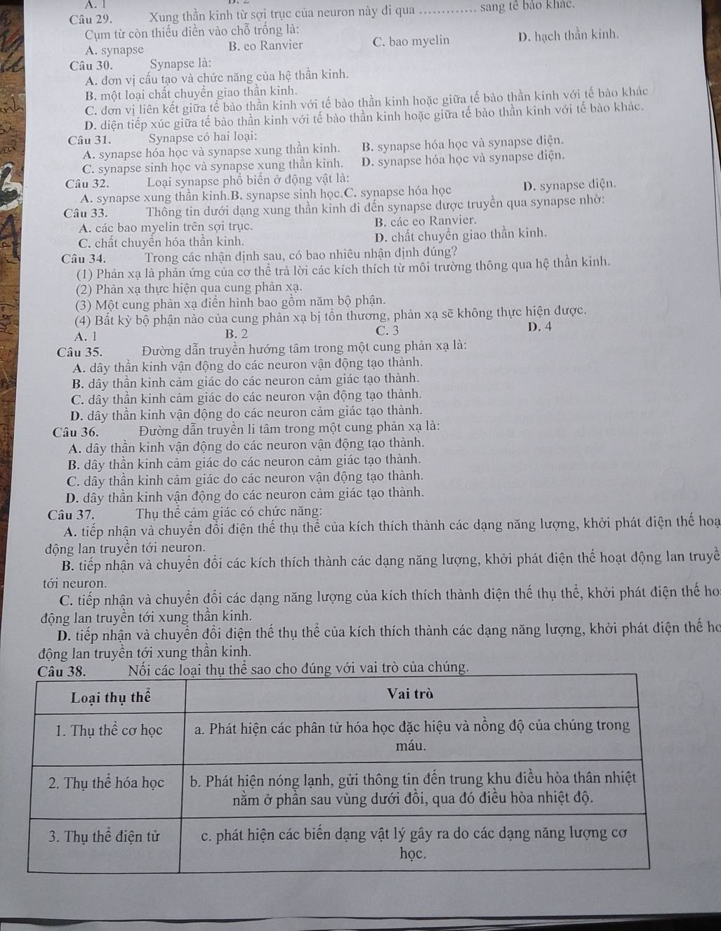 A. 1
Câu 29. Xung thần kinh từ sợi trục của neuron này đỉ qua _sang tê bảo khác.
Cụm từ còn thiếu diền vào chỗ trống là:
A. synapse B. eo Ranvier C. bao myelin D. hạch thần kinh.
Câu 30. Synapse là:
A. dơn vị cấu tạo và chức năng của hệ thần kinh.
B. một loại chất chuyển giao thần kỉnh.
C. đơn vị liên kết giữa tể bào thần kinh với tế bào thần kinh hoặc giữa tế bào thần kinh với tế bào khác
D. diện tiếp xúc giữa tế bào thần kinh với tế bào thần kinh hoặc giữa tế bào thần kinh với tế bảo khác.
Câu 31. Synapse có hai loại:
A. synapse hóa học và synapse xung thần kinh. B. synapse hóa học và synapse diện.
C. synapse sinh học và synapse xung thần kinh. D. synapse hóa học và synapse điện.
Câu 32.  Loại synapse phổ biến ở động vật là:
A. synapse xung thần kinh.B. synapse sinh học.C. synapse hóa học D. synapse diện.
Câu 33. Thông tin dưới dạng xung thần kinh đi dến synapse dược truyền qua synapse nhờ:
A. các bao myelin trên sợi trục. B. các eo Ranvier.
C. chất chuyền hóa thần kinh. D. chất chuyền giao thần kinh.
Câu 34. Trong các nhận định sau, có bao nhiêu nhận định dúng?
(1) Phản xạ là phản ứng của cơ thể trả lời các kích thích từ môi trường thông qua hệ thần kinh.
(2) Phản xạ thực hiện qua cung phản xạ.
(3) Một cung phản xạ điễn hình bao gồm năm bộ phận.
(4) Bất kỳ bộ phận nào của cung phản xạ bị tồn thương, phản xạ sẽ không thực hiện được.
A. 1 B. 2 C. 3 D. 4
Câu 35.  Đường dẫn truyền hướng tâm trong một cung phản xạ là:
A. dây thần kinh vận động do các neuron vận dộng tạo thành.
B. dây thần kinh cảm giác do các neuron cảm giác tạo thành.
C. dây thần kinh cảm giác do các neuron vận động tạo thành.
D. dây thần kinh vận động do các neuron cảm giác tạo thành.
Câu 36.  Đường dẫn truyền li tâm trong một cung phản xạ là:
A. dây thần kinh vận động do các neuron vận động tạo thành.
B. dây thần kinh cảm giác do các neuron cảm giác tạo thành.
C. dây thần kinh cảm giác do các neuron vận động tạo thành.
D. dây thần kinh vận động do các neuron cảm giác tạo thành.
Câu 37.  Thụ thể cảm giác có chức năng:
A. tiếp nhận và chuyển đổi điện thế thụ thể của kích thích thành các dạng năng lượng, khởi phát diện thế hoạ
động lan truyền tới neuron.
B. tiếp nhận và chuyển đổi các kích thích thành các dạng năng lượng, khởi phát điện thế hoạt động lan truyề
tới neuron.
C. tiếp nhận và chuyển đổi các dạng năng lượng của kích thích thành điện thế thụ thể, khởi phát điện thế ho
động lan truyền tới xung thần kinh.
D. tiếp nhận và chuyển đổi điện thế thụ thể của kích thích thành các dạng năng lượng, khởi phát điện thế ho
động lan truyền tới xung thần kinh.