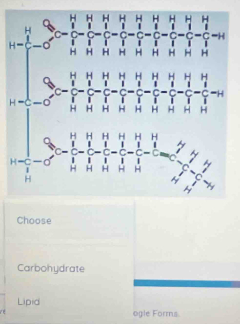 Choose
Carbohydrate
Lipid
ogle Forms