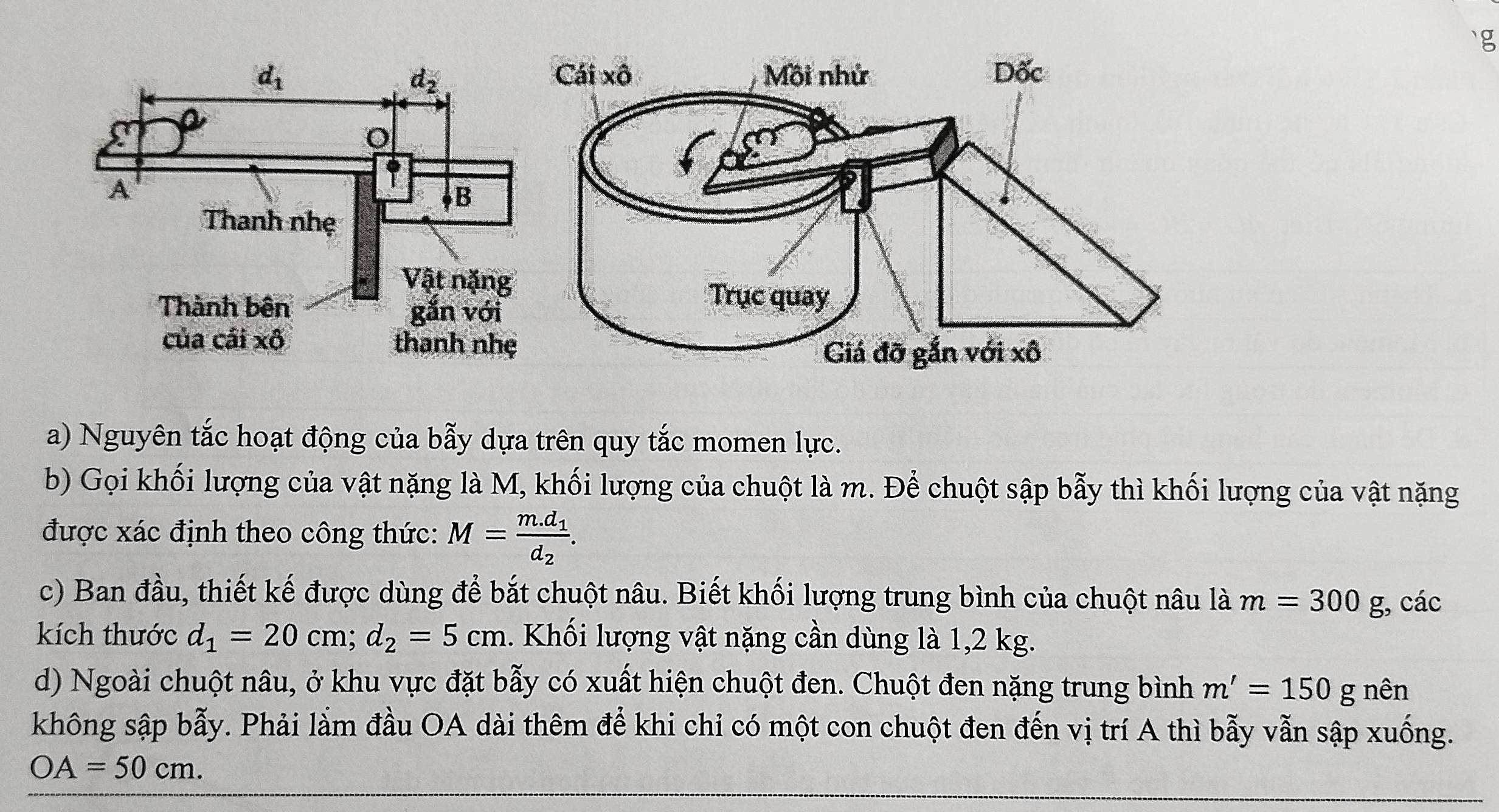 Nguyên tắc hoạt động của bẫy dựa trên quy tắc momen lực.
b) Gọi khối lượng của vật nặng là M, khối lượng của chuột là m. Để chuột sập bẫy thì khối lượng của vật nặng
được xác định theo công thức: M=frac m.d_1d_2.
c) Ban đầu, thiết kế được dùng để bắt chuột nâu. Biết khối lượng trung bình của chuột nâu là m=300g , các
kích thước d_1=20cm;d_2=5cm. Khối lượng vật nặng cần dùng là 1,2 kg.
d) Ngoài chuột nâu, ở khu vực đặt bẫy có xuất hiện chuột đen. Chuột đen nặng trung bình m'=150g nên
không sập bẫy. Phải lằm đầu OA dài thêm để khi chỉ có một con chuột đen đến vị trí A thì bẫy vẫn sập xuống.
OA=50cm.