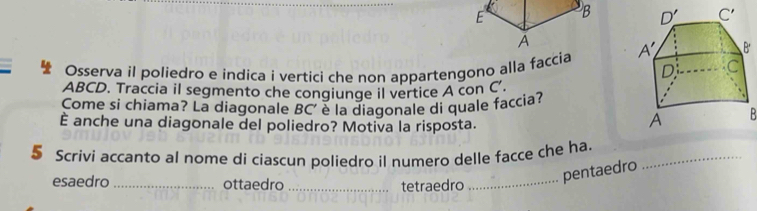 Osserva il poliedro e indica i vertici che non appartengono alla faccia 
ABCD. Traccia il segmento che congiunge il vertice A con C'
Come si chiama? La diagonale BC' è la diagonale di quale faccia?
È anche una diagonale del poliedro? Motiva la risposta.
B
§ Scrívi accanto al nome di ciascun poliedro il numero delle facce che ha._
esaedro_ ottaedro _tetraedro_
pentaedro