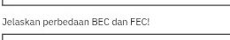 Jelaskan perbedaan BEC dan FEC!