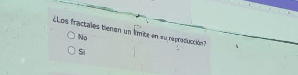 ¿Los fractales tienen un límite en su reproducción?
No
Si