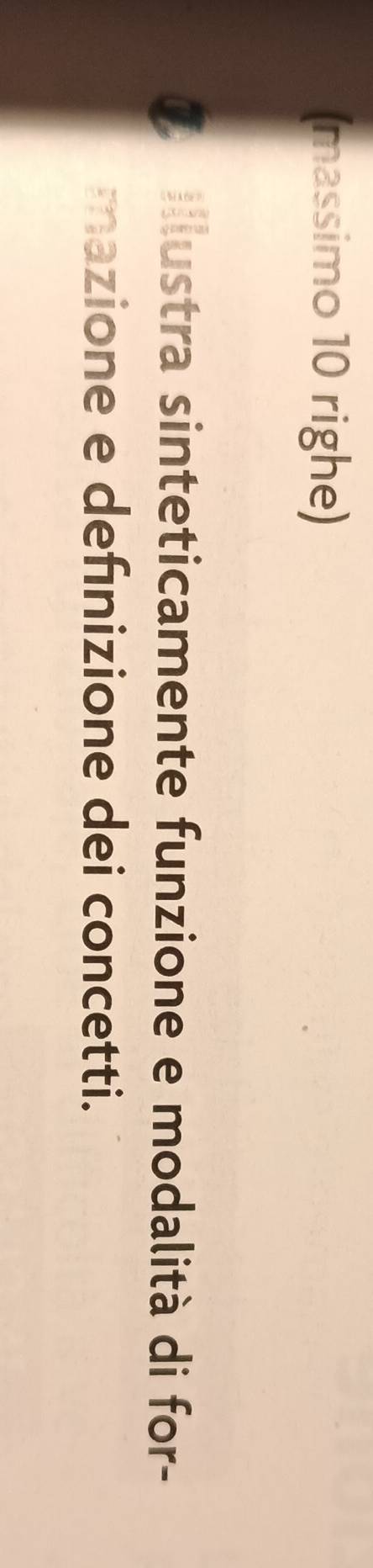 (massimo 10 righe) 
Illustra sinteticamente funzione e modalità di for- 
mazione e defınizione dei concetti.