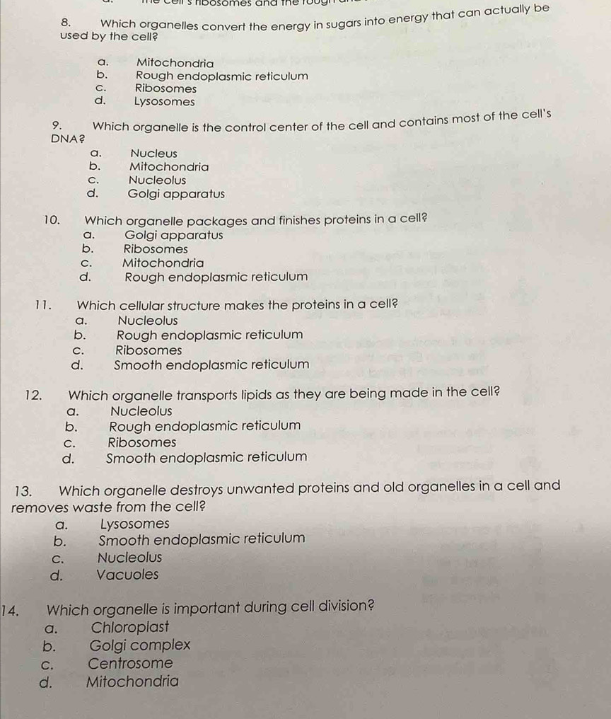 ceirs tibosomes and the 1o0g
8. Which organelles convert the energy in sugars into energy that can actually be
used by the cell?
a. Mitochondria
b. Rough endoplasmic reticulum
c. Ribosomes
d. Lysosomes
9.
DNA? Which organelle is the control center of the cell and contains most of the cell's
a. Nucleus
b. Mitochondria
c. Nucleolus
d. Golgi apparatus
10. Which organelle packages and finishes proteins in a cell?
a. Golgi apparatus
b. Ribosomes
c. Mitochondria
d. Rough endoplasmic reticulum
11. Which cellular structure makes the proteins in a cell?
a. Nucleolus
b. Rough endoplasmic reticulum
c. Ribosomes
d. Smooth endoplasmic reticulum
12. Which organelle transports lipids as they are being made in the cell?
a. Nucleolus
b. Rough endoplasmic reticulum
c. Ribosomes
d. Smooth endoplasmic reticulum
13. Which organelle destroys unwanted proteins and old organelles in a cell and
removes waste from the cell?
a. Lysosomes
b. Smooth endoplasmic reticulum
c. Nucleolus
d. Vacuoles
14. Which organelle is important during cell division?
a. Chloroplast
b. Golgi complex
c. Centrosome
d. Mitochondria