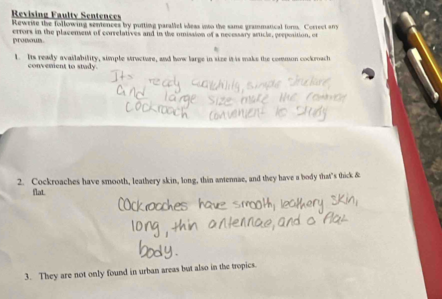 Revising Faulty Sentences 
Rewrite the following sentences by putting parallel ideas into the same grammatical form. Correct any 
errors in the placement of correlatives and in the omission of a necessary article, preposition, or 
pronoun. 
L. Its ready availability, simple structure, and how large in size it is make the common cockroach 
convenient to study. 
2. Cockroaches have smooth, leathery skin, long, thin antennae, and they have a body that’s thick & 
flat. 
3. They are not only found in urban areas but also in the tropics.