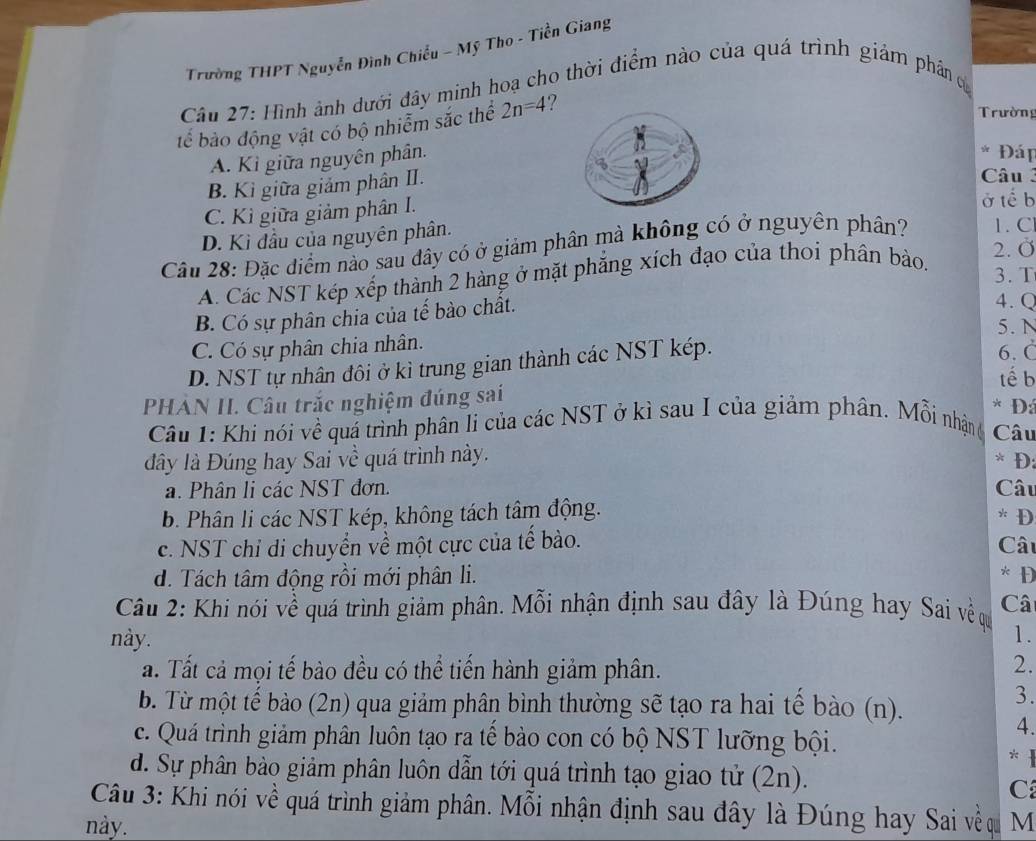 Trường THPT Nguyễn Đình Chiếu - Mỹ Tho - Tiền Giang
Câu 27: Hình ảnh dưới đây minh hoạ cho thời điểm nào của quá trình giảm phân c
tế bào động vật có bộ nhiễm sắc thể 2n=4 7
Trường
A. Kì giữa nguyên phân.
* Đáp
B. Kì giữa giảm phân II.
Câu
C. Kì giữa giảm phân I.ở tế b
D. Ki đầu của nguyên phân.
Câu 28: Đặc điểm nào sau đây có ở giảm phân mà không có ở nguyên phân? 1. C
A. Các NST kép xếp thành 2 hàng ở mặt phăng xích đạo của thoi phân bào,
2. Ở
3. T
B. Có sự phân chia của tế bào chất.
4. Q
5. N
C. Có sự phân chia nhân. 6. C
D. NST tự nhân đôi ở kì trung gian thành các NST kép.
tế b
PHẢN II. Câu trắc nghiệm đúng sai
* Đ:
Câu 1: Khi nói về quá trình phân li của các NST ở kì sau I của giảm phân. Mỗi nhận ( Câu
đây là Đúng hay Sai về quá trình này. * Đ:
a. Phân li các NST đơn. Câu * Đ
b. Phân li các NST kép, không tách tâm động.
c. NST chỉ di chuyển về một cực của tế bào.
Câ
d. Tách tâm động rồi mới phân li. * Đ
Câu 2: Khi nói về quá trình giảm phân. Mỗi nhận định sau đây là Đúng hay Sai về q Câ
này.
1.
a. Tất cả mọi tế bào đều có thể tiến hành giảm phân.
2.
b. Từ một tế bào (2n) qua giảm phân bình thường sẽ tạo ra hai tế bào (n).
3.
c. Quá trình giảm phân luôn tạo ra tế bào con có bộ NST lưỡng bội.
4.
*1
d. Sự phân bào giảm phân luôn dẫn tới quá trình tạo giao tử (2n).
C
Câu 3: Khi nói về quá trình giảm phân. Mỗi nhận định sau đây là Đúng hay Sai về q
này. M