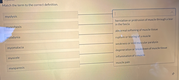 Match the term to the correct defnition.
myolysis
herniation or protrusion of muscle through a tear
myorrhexis in the fascia
abnormal softening of muscle tissue
myodynia
rupture or tearing of a muscle
myomalacia weakness or mild muscular paralysis
degeneration or breakdown of muscle tissue
inflammation of a muscle
myocele
muscle pain
myoparesis