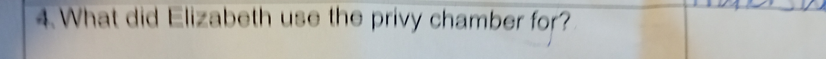What did Elizabeth use the privy chamber for?