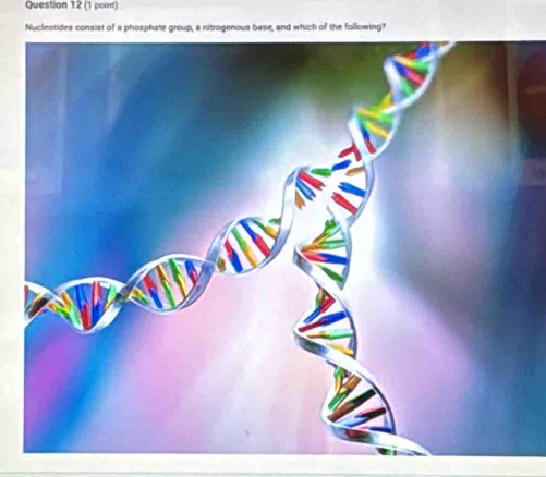 Nucleotides consist of a phosphate group, a nitrogenous base, and which of the following?