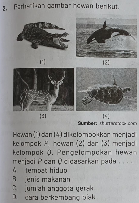 Perhatikan gambar hewan berikut.
(1) (2)
(3) (4)
Sumber: shutterstock.com
Hewan (1) dan (4) dikelompokkan menjadi
kelompok P, hewan (2) dan (3) menjadi
kelompok Q. Pengelompokan hewan
menjadi P dan Q didasarkan pada . . . .
A. tempat hidup
B. jenis makanan
C. jumlah anggota gerak
D. cara berkembang biak