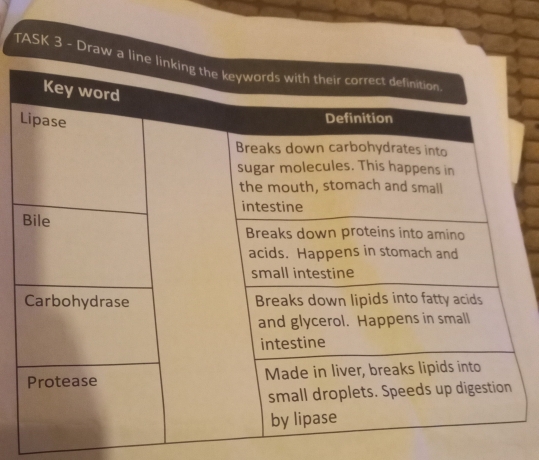 TASK 3 - Draw a l