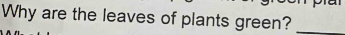 Why are the leaves of plants green?_