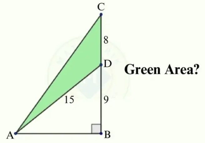 Green Area?