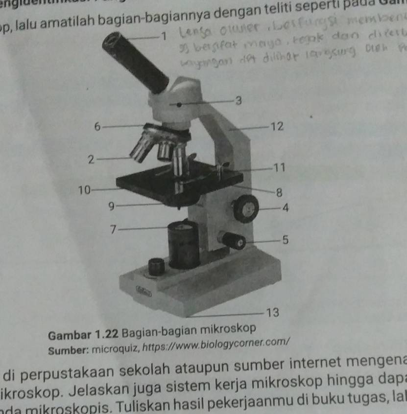 op, lalu amatah bagian-bagiannya dengan teliti seperti paua dal 
Gambar 1.22 Bagian-bagian mikroskop 
Sumber: microquiz, https://www.biologycorner.com/ 
di perpustakaan sekolah ataupun sumber internet mengena 
ikroskop. Jelaskan juga sistem kerja mikroskop hingga dapa 
nda mikroskopis. Tuliskan hasil pekerjaanmu di buku tugas, la