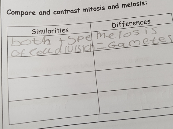 itosis and meiosis: