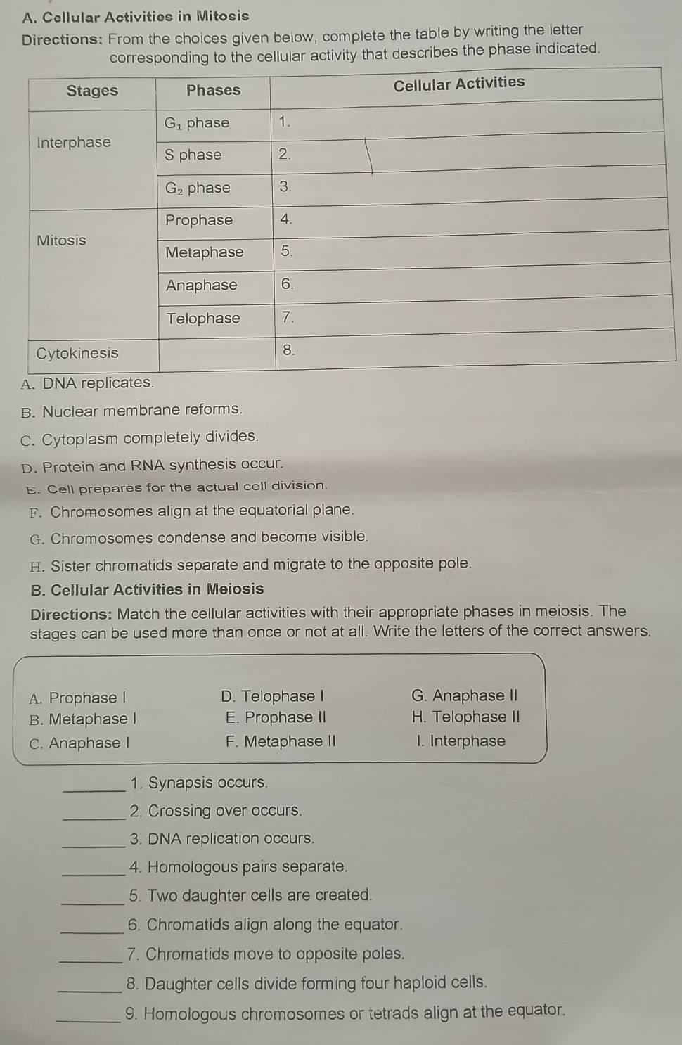 Cellular Activities in Mitosis
Directions: From the choices given below, complete the table by writing the letter
corresponding to the cellular activity that describes the phase indicated.
A.A r
B. Nuclear membrane reforms.
C. Cytoplasm completely divides.
D. Protein and RNA synthesis occur.
E. Cell prepares for the actual cell division.
F. Chromosomes align at the equatorial plane.
G. Chromosomes condense and become visible.
H. Sister chromatids separate and migrate to the opposite pole.
B. Cellular Activities in Meiosis
Directions: Match the cellular activities with their appropriate phases in meiosis. The
stages can be used more than once or not at all. Write the letters of the correct answers.
A. Prophase I D. Telophase I G. Anaphase II
B. Metaphase I E. Prophase II H. Telophase II
C. Anaphase I F. Metaphase II I. Interphase
_1. Synapsis occurs.
_
2. Crossing over occurs.
_
3. DNA replication occurs.
_
4. Homologous pairs separate.
_5. Two daughter cells are created.
_6. Chromatids align along the equator.
_
7. Chromatids move to opposite poles.
_8. Daughter cells divide forming four haploid cells.
_9. Homologous chromosomes or tetrads align at the equator.