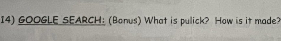 GOOGLE SEARCH: (Bonus) What is pulick? How is it made?