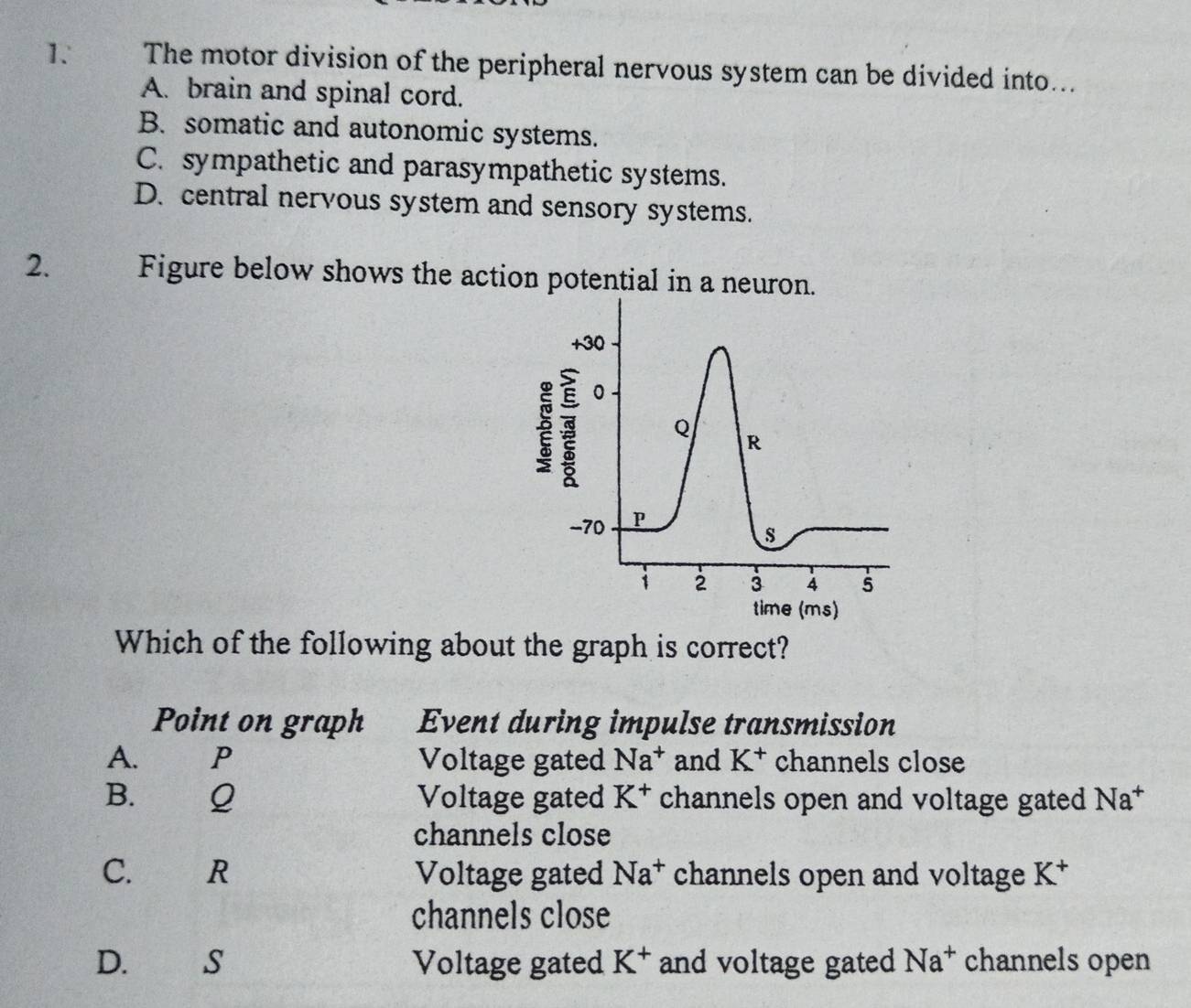 The motor division of the peripheral nervous system can be divided into...
A. brain and spinal cord.
B. somatic and autonomic systems.
C. sympathetic and parasympathetic systems.
D. central nervous system and sensory systems.
2. Figure below shows the action potential in a neuron.
+ 30
0
Q R
-70 P
s
1 2 3 4 5
time (ms)
Which of the following about the graph is correct?
Point on graph Event during impulse transmission
A. P Voltage gated Na^+ and K^+ channels close
B. Q Voltage gated K^+ channels open and voltage gated Na^+
channels close
C. R Voltage gated Na^+ channels open and voltage K^+
channels close
D. €£ S Voltage gated K^+ and voltage gated Na^+ channels open