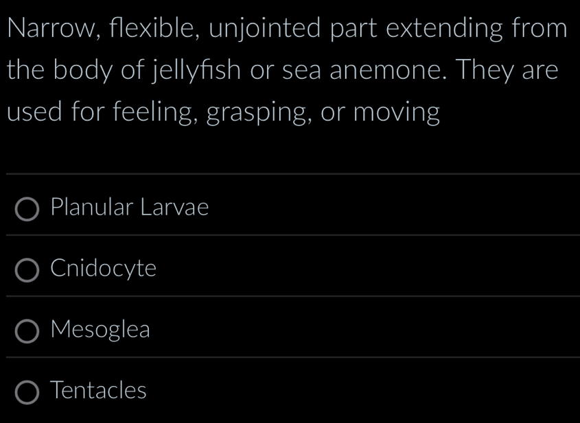 Narrow, flexible, unjointed part extending from
the body of jellyfish or sea anemone. They are
used for feeling, grasping, or moving
Planular Larvae
Cnidocyte
Mesoglea
Tentacles