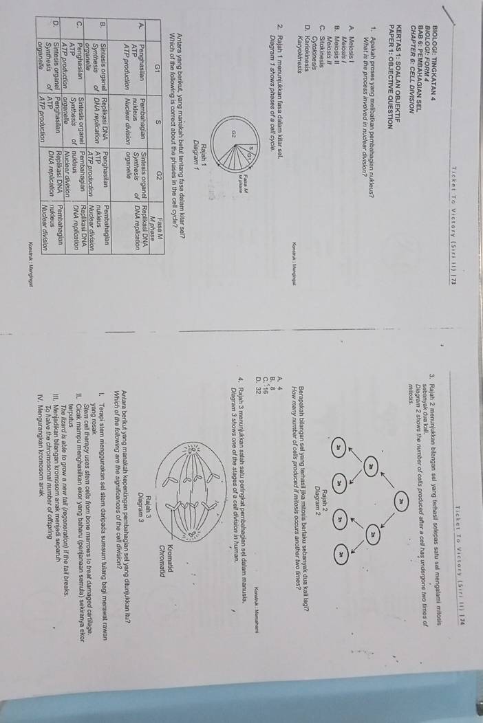 Ticket To Victory (Siri II) |74
Ticket To Victory (Siri II) |73
BIOLOGI: TINGKATAN 4
BIOLOGI: FORM 4 3. Rajah 2 menunjukkan bilangan sel yang terhasil selepas satu sel mengalami mitosis
sebanyak dua kali.
BAß 6: PEMBAHAGIAN SEL
Diagram 2 shows the number of cells produced after a cell has undergone two times of
CHAPTER 6: CELL DIVISION mitosis
KERTAS 1: SOALAN OBJEKTIF
PAPER 1: OBJECTIVE QUESTION
1. Apakah proses yang melibatkan pembahagian nukleus? 
What is the process involved in nuclear division?
A. Melosis I
Melosis I
B. Meiosis II
C. Sitokinesis Meiosis II
Cytokinesis
D. Kariokinesis
Berapakah bilangan sel yang terhasil jika mitosis berlaku sebanyak dua kali lagi?
Karyokinesis Konstruk : Mangingat How many number of cells produced if mitosis occurs another two times?
2. Rajah 1 menunjukkan fasa dalam kitar sel. A. 4
Diagram 1 shows phases of a cell cycle C.  16 B. 8
D. 32 Konstruk : Monsahami
s of
4, Rajah 3 menunjukkan salah satu peringkat pembahagian sel dalam manusia.
G2 Diagram 3 shows one of the stages of a cell division in human.
Rajah 1
Diagram 1
Antara yang berikut, yang manakah betul tentang fasa dalam kitar sel?
Which of the following is correct about the phases in the cell cycle? 
 
 
Antara berikut yang manakah kepentingan pembahagian sel yang ditunjukkan itu?
Which of the following are the significances of the cell division?
l. Terapi stem menggunakan sel stem daripada sumsum tulang bagi merawat rawan
yang rosak
Stem cell therapy uses stem cells from bone marrows to treat damaged cartilage.
II. Cicak mampu menghasilkan ekor yang baharu (penjanaan semula) sekiranya ekor
terputus The lizard is able to grow a new tail (regeneration) if the tail breaks.
III. Menjadikan bilangan kromosom anak menjadi separuh
To halve the chromosomal number of offspring
IV. Mengurangkan kromosom anak
al