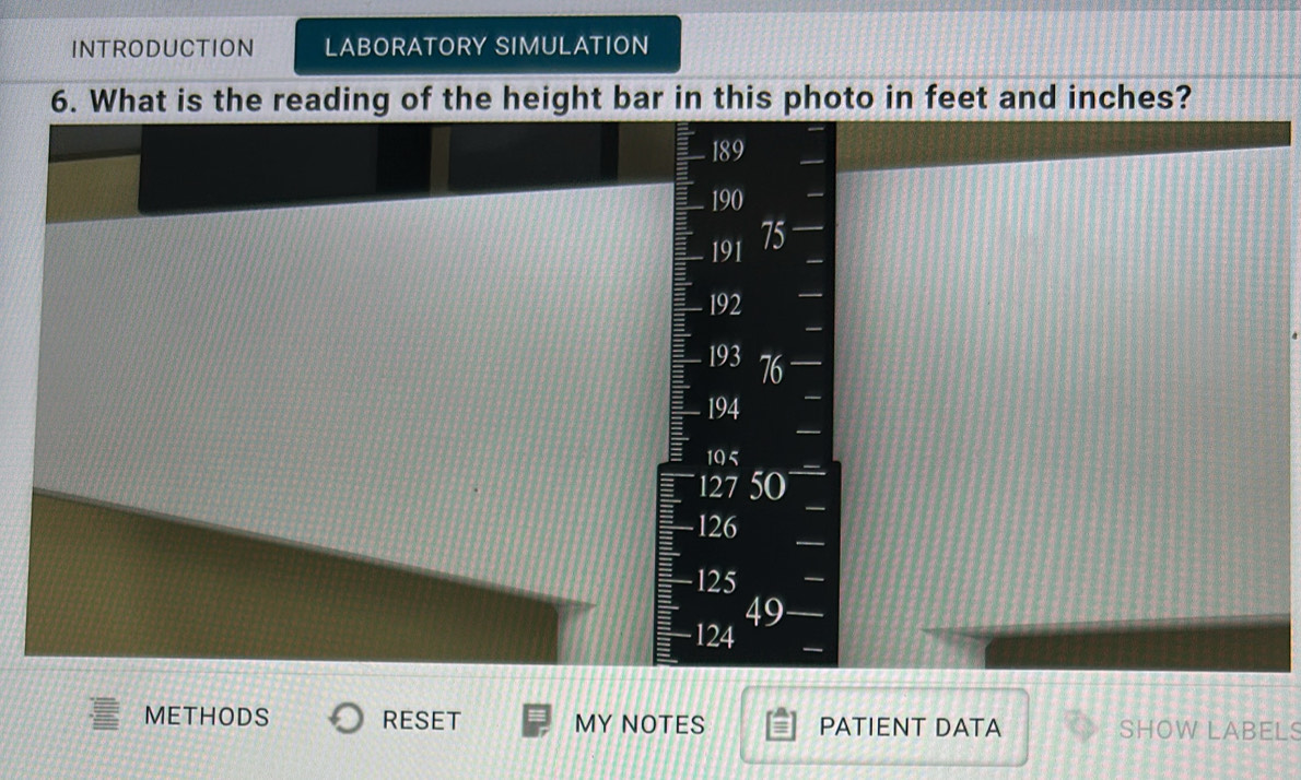 INTRODUCTION LABORATORY SIMULATION 
6. What is the reading of the height bar in this photo in feet and inches?
189
190
191 75
192
193 76
194
105
127 50
126
125
49
124
METHODS RESET MY NOTES PATIENT DATA SHOW LABELS