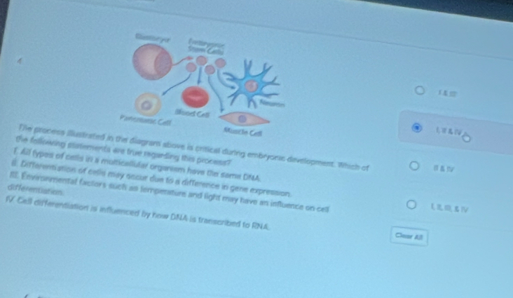 1&
File process illustratedram above is critical during embryonic development. Which of
the following statements are true regarding this process?
F. Ail types of cells in a multicallular organism have the same DMA.
8. Differentiation of cells may occur due to a difference in gene expression.
differentiation IE Environmental factors such as lemperature and light may have an influence on cell
IV Cell diferentiation is influenced by how DNA is transcribed to RNA. Clear All