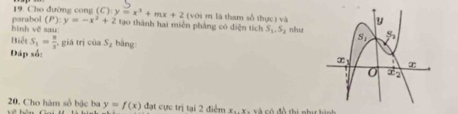 Cho đường cong
parabol (P): y=-x^2+2 (C):y=x^3+mx+2 (với m là tham số thực) và
tạo thành hai miền phẳng có diện tích S_1,S_2 như
hình vẽ sau:
giá trị cù S_2 bāng:
Biết S_1= 8/3  Đáp số:
20. Cho hàm số bậc ba y=f(x) đạt cực trị tại 2 điểm x_1.x_1 v v  ó đồ thị như hình