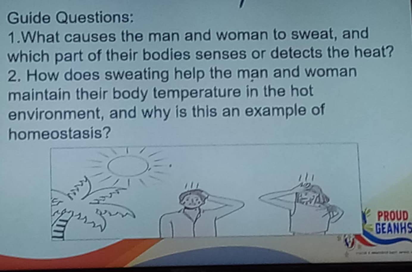 Guide Questions: 
1.What causes the man and woman to sweat, and 
which part of their bodies senses or detects the heat? 
2. How does sweating help the man and woman 
maintain their body temperature in the hot 
environment, and why is this an example of 
homeostasis? 
PROUD 
GEANHS