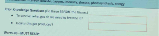 Larb on dioxide, oxygen, intensity, glucose, photosynthesis, energy 
Prior Knowledge Questions (Do these BEFORE the Gizmo.) 
To survive, what gas do we need to breathe in? 
How is this gas produced? 
Warm-up - MUST READ*