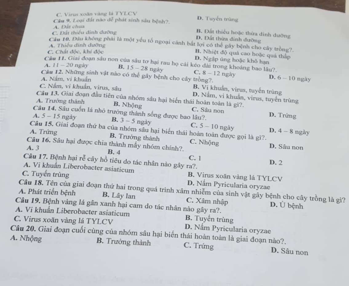 C. Virus xoãn vàng là TYLCV
D. Tuyến trùng
Câu 9. Loại đất nào dễ phát sinh sâu bệnh?.
A. Đất chua
C. Đất thiếu dinh dưỡng
B. Đất thiểu hoặc thừa dinh dưỡng
D. Đất thừa dinh dưỡng
Câu 10. Đâu không phải là một yếu tố ngoại cảnh bắt lợi có thể gây bệnh cho cây trồng?
A. Thiếu dinh dưỡng
C. Chất độc, khí độc
B. Nhiệt độ quả cao hoặc quá thấp
D. Ngập ủng hoặc khô hạn
Câu 11. Giai đoạn sâu non của sâu tơ hại rau họ cải kéo dài trong khoảng bao lâu?.
A. 11-20 ngày B. 15 - 28 ngày C. 8 - 12 ngày D. 6 - 10 ngày
Câu 12. Những sinh vật nào có thể gây bệnh cho cây trồng?.
A. Nấm, vi khuẩn
B. Vi khuẩn, virus, tuyến trùng
C. Nấm, vi khuẩn, virus, sâu D. Nấm, vi khuẩn, virus, tuyến trùng
Câu 13. Giai đoạn đầu tiên của nhóm sâu hại biến thái hoàn toàn là gì?.
A. Trưởng thành B. Nhộng C. Sâu non D. Trứng
Câu 14. Sâu cuốn lá nhỏ trưởng thành sống được bao lâu?.
A. 5 - 15 ngày B. 3 - 5 ngày C. 5 - 10 ngày D. 4 - 8 ngày
Câu 15. Giai đoạn thứ ba của nhóm sâu hại biến thái hoàn toàn được gọi là gì?.
A. Trứng B. Trưởng thành C. Nhộng D. Sâu non
Câu 16. Sâu hại được chia thành mấy nhóm chính?.
A. 3 B. 4 D. 2
C. 1
Câu 17. Bệnh hại rễ cây hồ tiêu do tác nhân nào gây ra?.
A. Vi khuẩn Liberobacter asiaticum B. Virus xoăn vàng lá TYLCV
C. Tuyến trùng
D. Nấm Pyricularia oryzae
Câu 18. Tên của giai đoạn thứ hai trong quá trình xâm nhiễm của sinh vật gây bệnh cho cây trồng là gì?
A. Phát triển bệnh B. Lây lan C. Xâm nhập D. Ủ bệnh
Câu 19. Bệnh vàng lá gân xanh hại cam do tác nhân nào gây ra?.
A. Vi khuẩn Liberobacter asiaticum B. Tuyến trùng
C. Virus xoăn vàng lá TYLCV D. Nấm Pyricularia oryzae
Câu 20. Giai đoạn cuối cùng của nhóm sâu hại biến thái hoàn toàn là giai đoạn nào?.
A. Nhộng B. Trưởng thành C. Trứng D. Sâu non