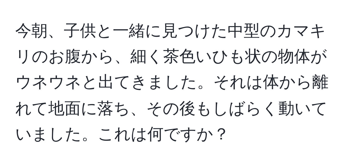 今朝、子供と一緒に見つけた中型のカマキリのお腹から、細く茶色いひも状の物体がウネウネと出てきました。それは体から離れて地面に落ち、その後もしばらく動いていました。これは何ですか？